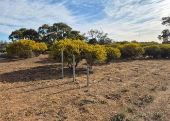 “Bring it back”: Holden Bathurst legend’s tribute stolen