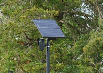 Driving Dystopia: Woman Wrongfully Accused By Flock Traffic Cameras