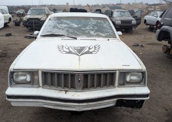 Junkyard Find: 1981 Pontiac Phoenix 5-Door Hatchback